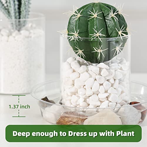 Truedays 20 Pack Plant Saucers (6 Inch / 8Inch / 10Inch / 12Inch) Clear Plant Saucers Flower Pot Tray Excellent For Indoor & Outdoor Plants thumb #3