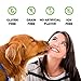 NutraPet Turmeric Dog Joint Supplement with Glucosamine Chondroitin - Tasty Hip and Joint Support Treats with Perna Mussel MSM - 90 Soft Chews