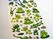 Grenouille Stickers Enfants, enfants étiquettes, Autocollants D'amusement pour Sac De Soirée, Artisanat & Décoration