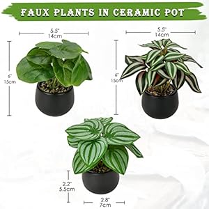 Briful 3PCS Fake Plants Potted Artificial Plants Mini Faux Plants in Black Ceramic Pots Greenery Décor for Home Office Table Room Farmhouse Indoor Decoration Briful 3PCS Fake Plants Potted Artificial Plants Mini Faux Plants in Black Ceramic Pots Greenery Decor for Home Office Table Room Farmhouse Indoor Decoration