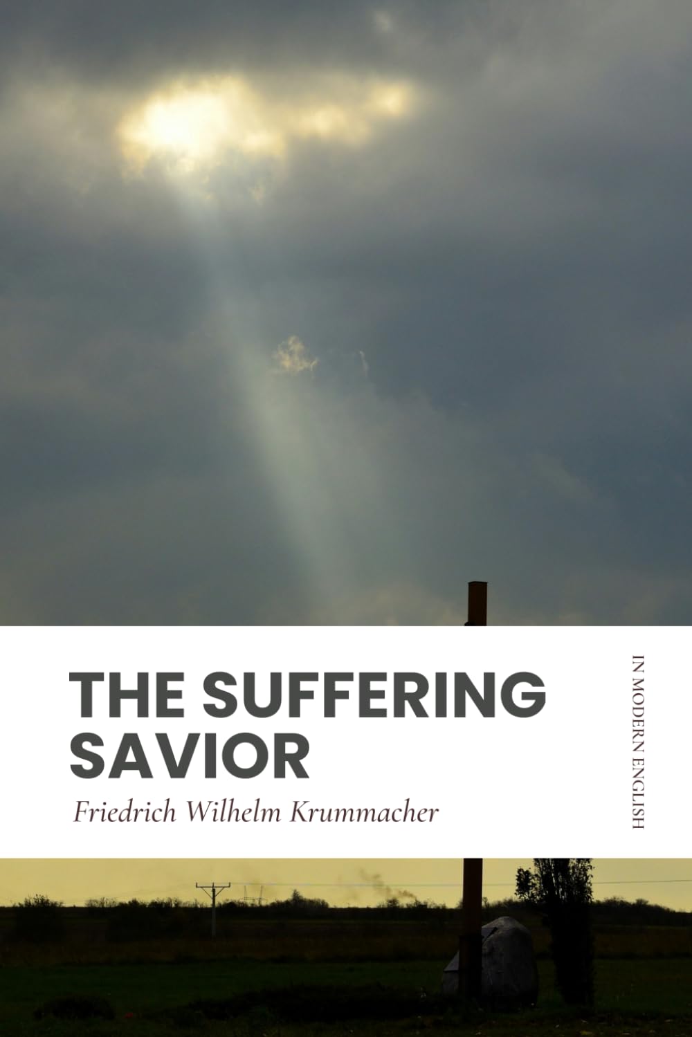 The Suffering Savior: In Modern, Updated English