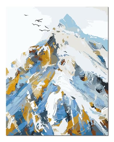 Kit de peinture par numéros oiseaux et montagnes Shukqueen 40x50 cm avec cadre en bois