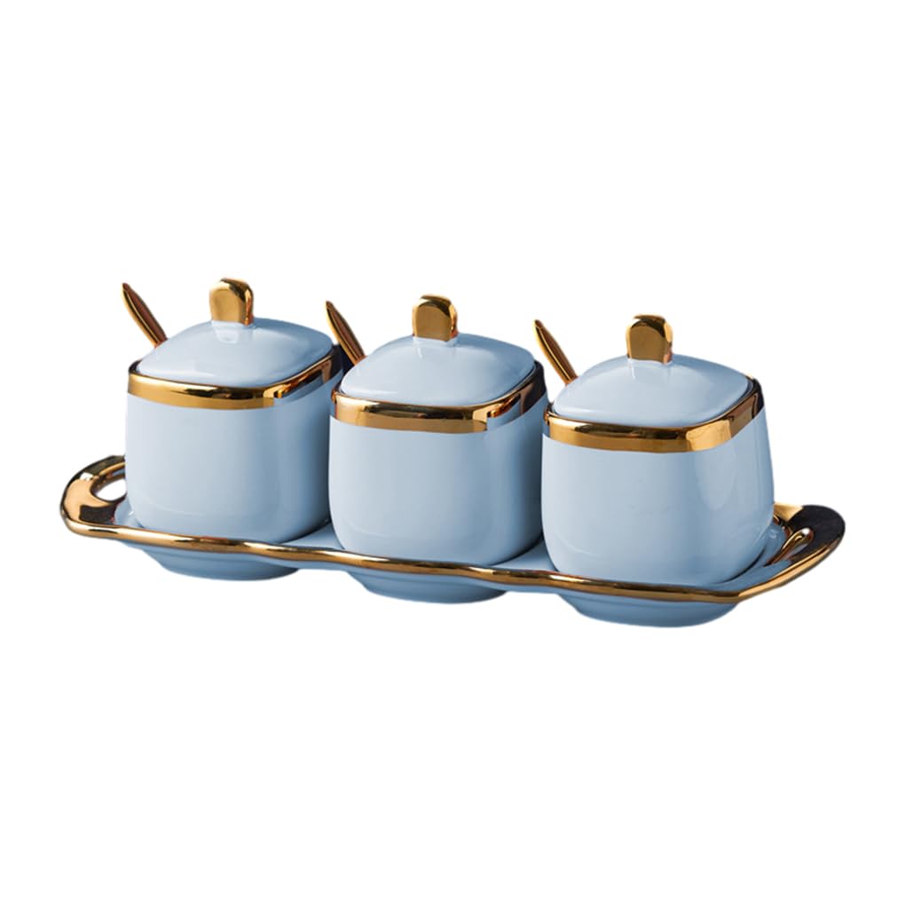 Zymoplas Leak-proof Storage Containers For Kitchen Organization Dry Storage Storage Jars Canisters Kitchen Storage Spice Jars Set, sky blue