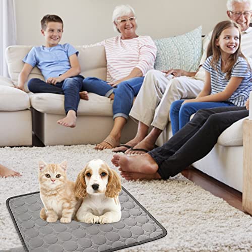 Kühlmatte für Hunde, Haustier-Kühlmatten, Sommer-Eiskissen, leicht, atmungsaktiv und faltbar, für Kiste, Zwinger, Katzenbett, Sofa, kaufeste wiederverwendbare Hundematten (1 Packung)