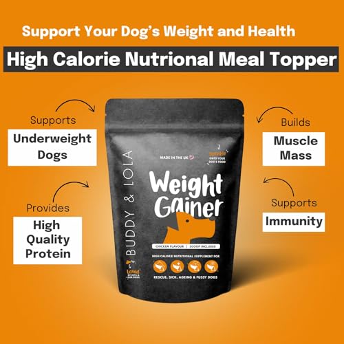 Buddy & Lola Dog Weight Gainer Supplement - Protein For Dogs, Helps Build Muscle, Aids Recovery, Great for Fussy Eaters, A Must Have For Rescue Dogs Who Need to Gain Weight and Build Muscle - Image 3