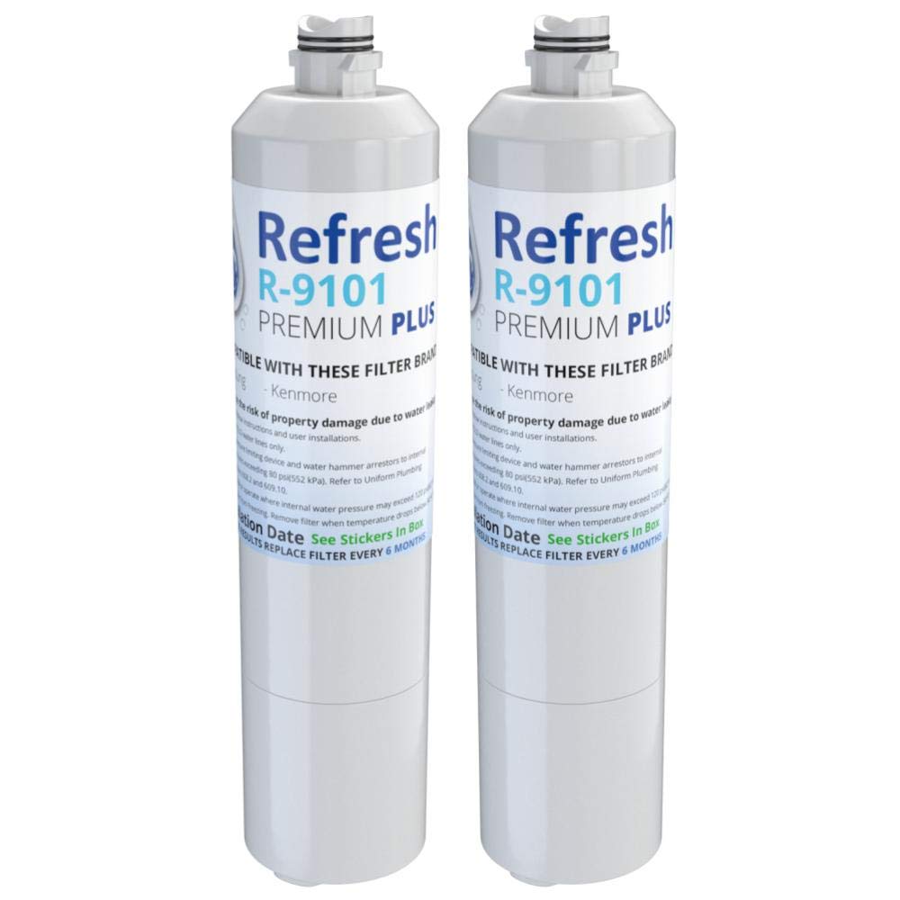 samsung refrigerator water filter r9101