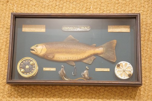 Angel Forelle Fligenfischen Fligenangeln Kasten Rolle Antik Vitrine Nostalgie Deko