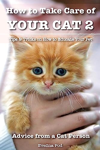 How to Take Care of Your Cat 2: Tips & Tricks on How to Educate Your Pet