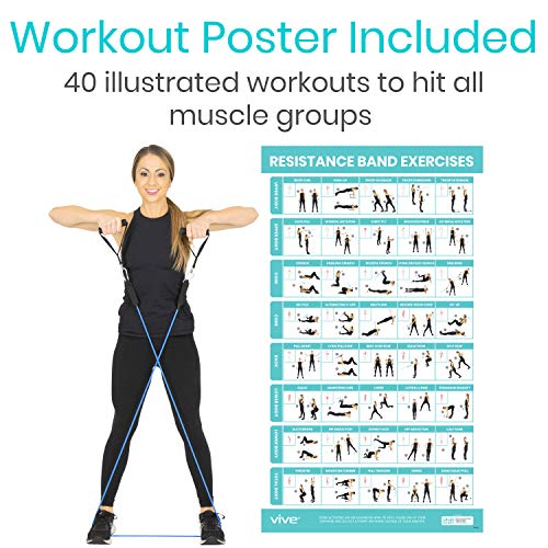 Vive Resistance Band Set (12 Pcs) - Heavy Duty Stretch Tube Rehab Bands - Shoulder Pulley Door Anchor - 2 to 70 LBs Tension - Home Workout Elastic Fitness Equipment - Men, Women Training (Standard)