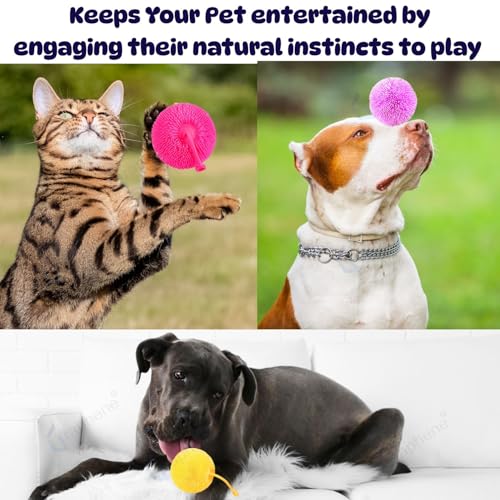 Image of GRAPHENE Multicolor Spiky Puffer Balls Anti Stress Fidget Lightning Toys for Children Exercise Elastic Squeeze Ball with Loop Sensory Balls Stress Relief Therapy Toy Party Favors Goody Bag Filler