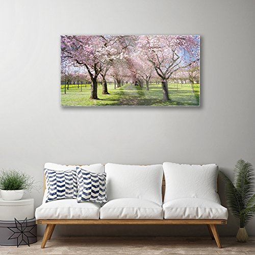Tableau plexiglas nature grand format arbres sentier - 4