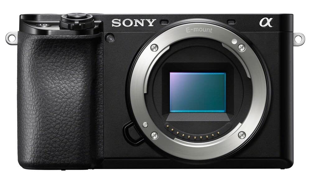 Sony Alpha 6100 | APS-C Mirrorless Camera ( Fast 0.02s Autofocus, Eye Tracking Autofocus for Human and Animal, 4K Movie Recording and Flip Screen )