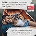 Chatty Date Night Ideas for Couples - Romantic Gift for Wife and Husband, Him and Her to Anniversary, Valentines Day, or Birthday - Fun Date Game with 40 Activity and 80 Question Cards