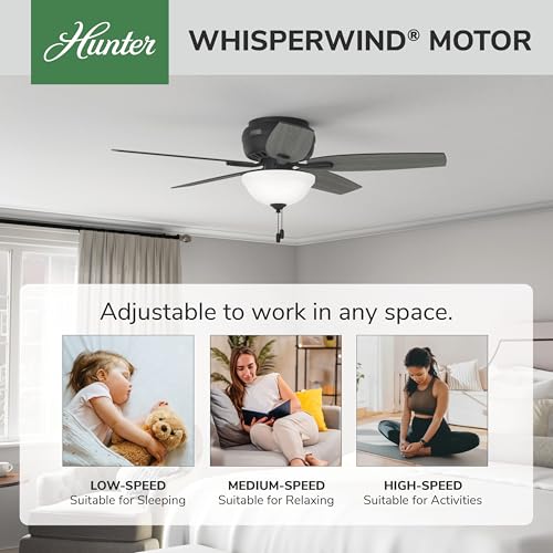 Image of Hunter Newsome, Indoor, Ceiling Fan, with LED Light, 52 inch, Matte Black