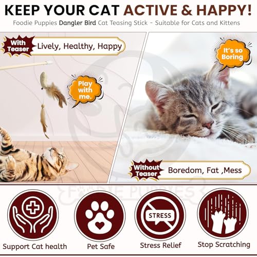 Image of Foodie Puppies Interactive Cat Teasing Wand - (Double Dangler Bird) for Cats and Kittens | Wooden Teaser with Stringed Feathers and Bell | Cat Toy for Teasing & Exerciser