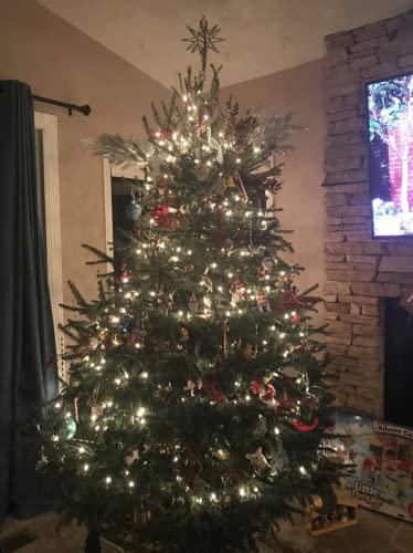 Rocky Mountain Goods Christmas Tree Stand For Live Tree With Water - Up To 8 Foot Tree - 5 Secure Eye Bolts - Steel Spike For Stability - Easy Watering For 2 Gallons - Install Real Tree In Minutes #TOP1