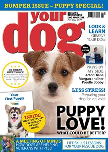 Your Dog