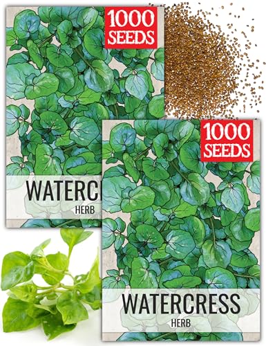 Seed Needs Watercress Seeds to Plant Heirloom Non-GMO Herb Sprouts 2 Packs