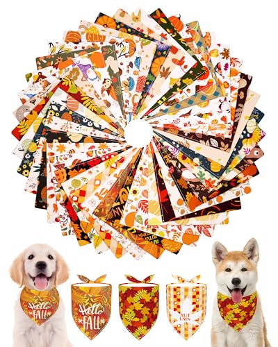 PET SHOW 50pbN H  o_i oN \ Ӎ H JGf̗t XJ[t q pvL Op` 悾ꂩ J[`[t Zbg L ̎q j̎q O[~OANZT[