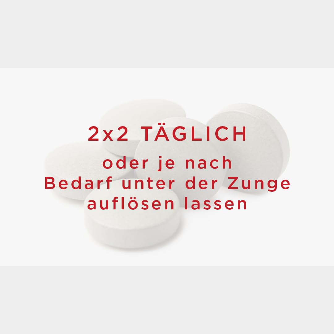 Prof. Birkmayer NADH Rapid 3,6g