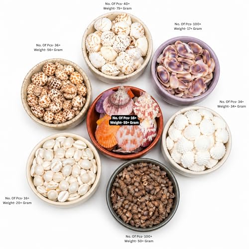 Image of 450g Natural Sea Shells (350+ Pcs) - 7 Unique Types for Aquarium, Vastu & Home Decor | Big Size Mixed Sipiyan | Odor-Free & Clean for Resin Art & Pooja