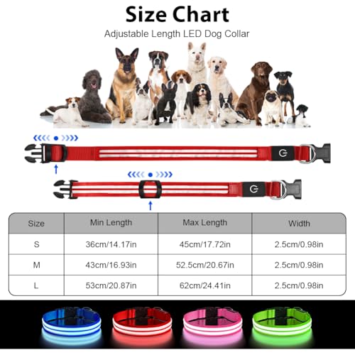 AUAUY LED Light Up Dog Collar, Pet Dog Double Light Strip Collar - Image 2