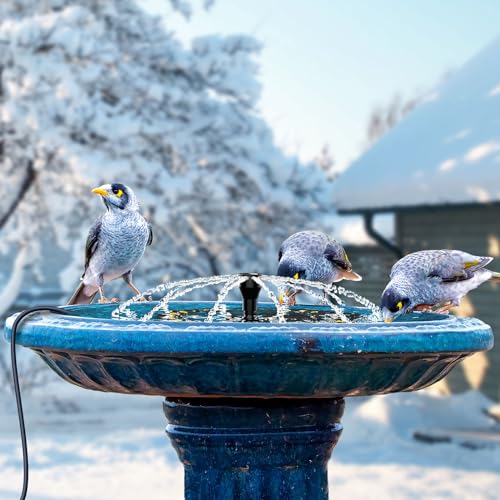 lollyes 250W Vogeltränke Heizung mit Brunnen Pumpe, Beheizte Vogeltränke für Draußen für den Winter, mit Thermostatisch Gesteuert und 1M Kabel, Vogeltränke Deicer, Beheizte Vogeltränke für Garten