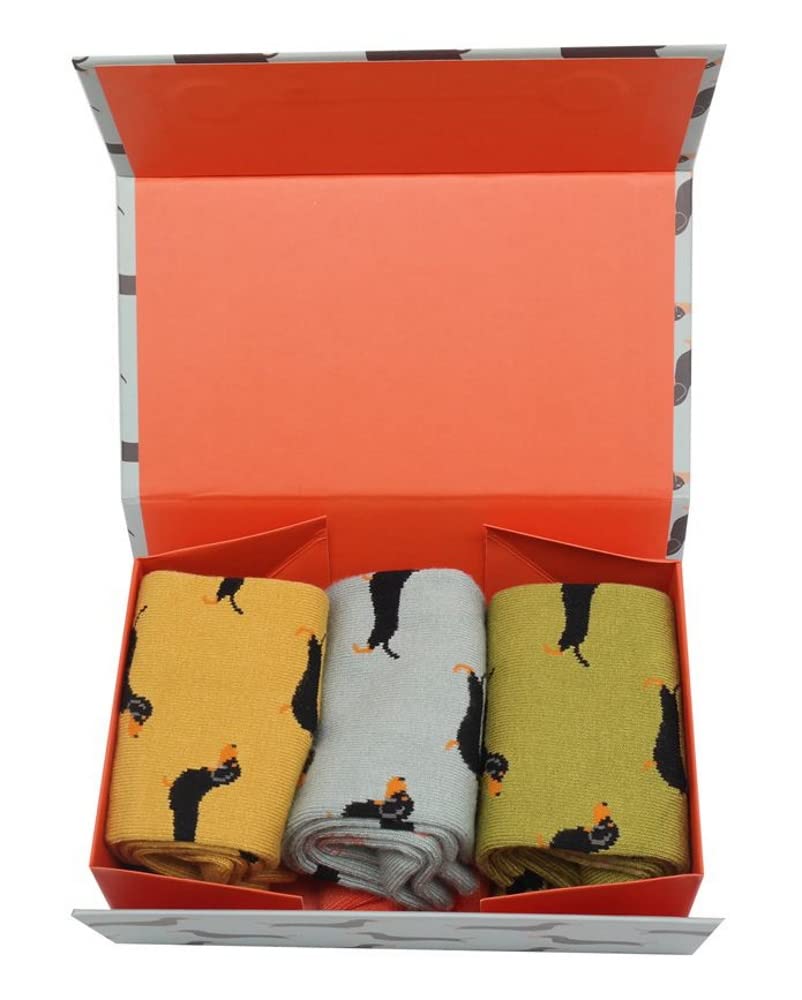 LilyRosa® Dachshund Socks Ladies Sausge Dogs Bamboo Cotton Blend Cute Socks Three Pairs Gift Box