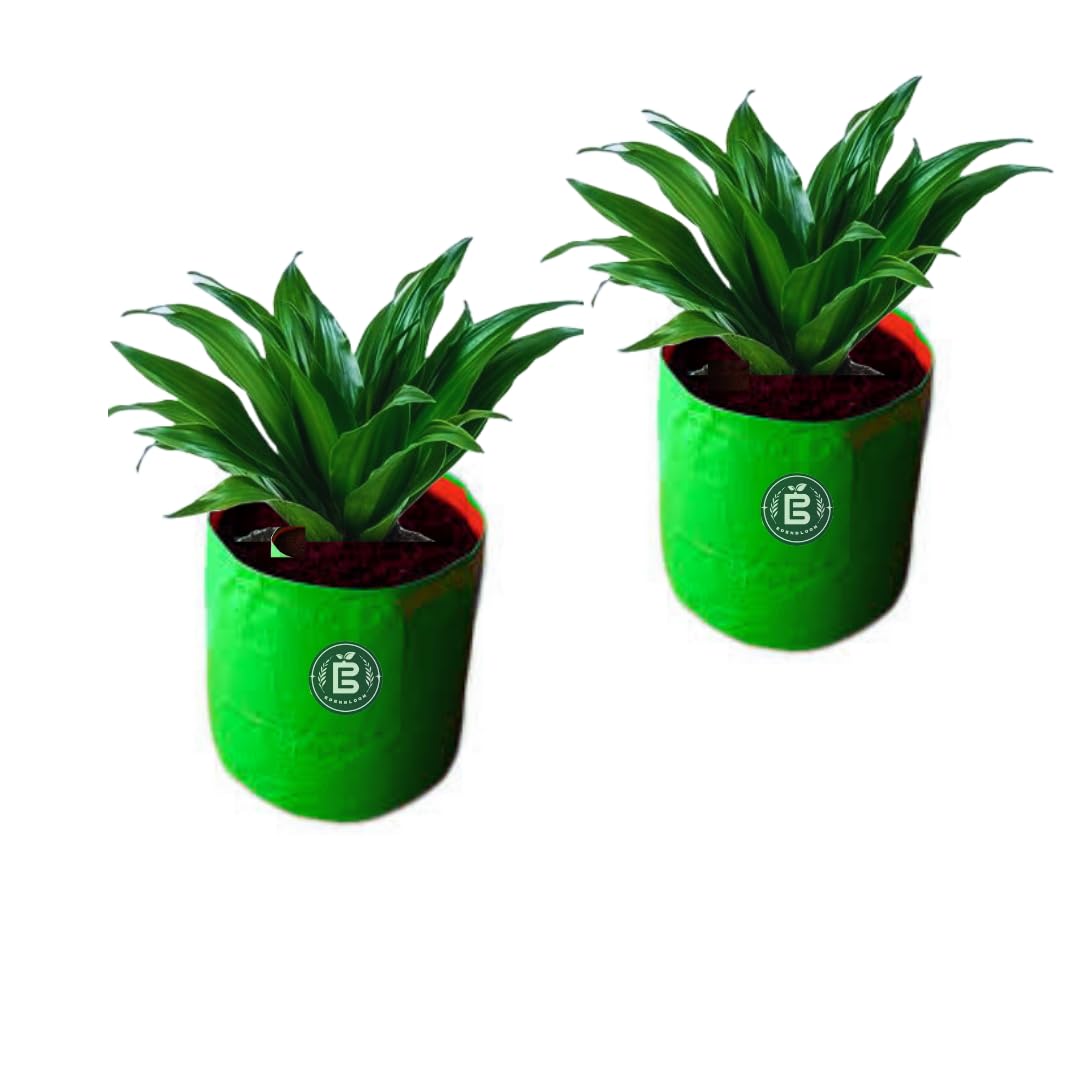 EDEN BLOOM - Green Grow Bag (18x18 inch) for Terrace Gardening Large Plants and Tree to Grow Leafy Vegetable and Hybrid Plants and Tree Bag (Pack of 2) (B0D112SZFR) Amazon Price History, Amazon Price Tracker