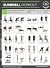Dumbbell Exercises Laminated Poster Chart - Strength Training - Core - Chest - Legs - Shoulders & Back - Build Muscle, Tone Tighten - 18"x24"