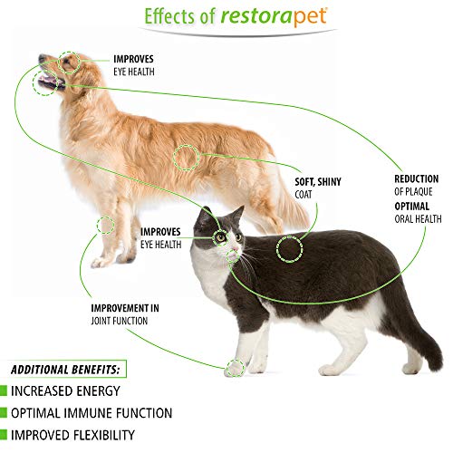RestoraPet Organic Bacon Flavor Pet Supplement for Dogs, Cats & Horses | Healthy & Safe Antioxidant Liquid Drops | Anti-Inflammatory Multi-Vitamin | Increases Mobility, Energy & Reduces Joint Pain - Thumbnail 4