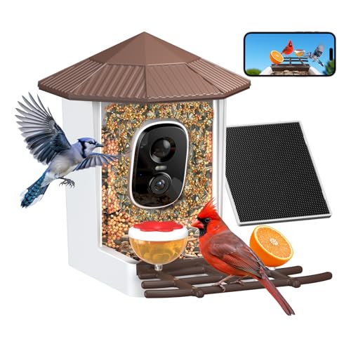 wansview Bird Feeder with Camera-Smart Bird Feeders for Outdoors Solar Powered, Birdhouse with Cam & Instant Alert, 2K Live Video, AI Identify Species, Ideal Gift for Tech Lovers, F1, Brown, 2.4G WiFi