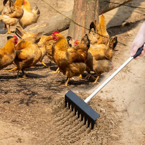 Pelle à Poulet pour déjections et litière élevage avec manche extensible