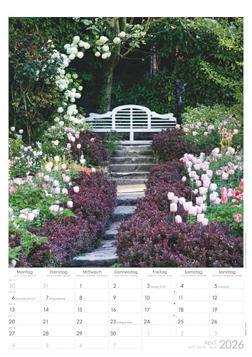 Alpha Edition - Traumgärten 2026 – Bildkalender A3 (29,7×42 cm) mit 12 Gartenmotiven, viersprachigem Kalendarium & Platz für Notizen, Wandkalender & Geschenkidee für Hobbygärtner: Beautiful Gardens