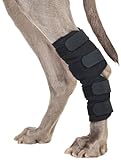 Back on Track Therapeutic Dog Rear Leg/Hock Brace (Pair) Small 7.25-Inch Length, 4 to 6.25 Inches Top Width, 3 to 4.75-Inches Bottom Width with 4 Adjustable Velcro Straps