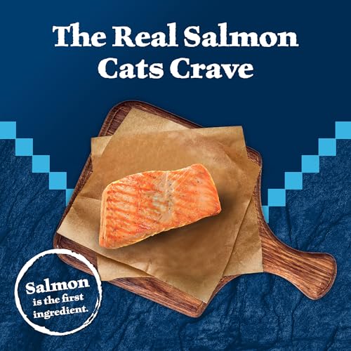 Image of Blue Buffalo Wilderness Natural High Protein Grain Free Wet Food for Kittens,Salmon Pate,3-oz,(Pack of 48)