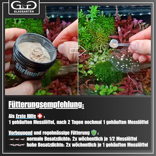 GlasGarten ShrimpFit | 35g – Spezialfutter für Ziergarnelen, Immunbooster für verbesserte Abwehrkräfte, enthält wichtige Wirkstoffe wie Beta-Glucane, Mineralien & Chitin