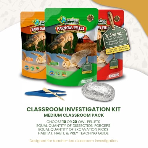 Image of Barn Owl Pellets for Dissection for Classrooms, Medium 10-Pack Kit by OBDK | Forceps, picks and instructor guide included, life science and ecology, bone sorting chart, hands-on lab activity