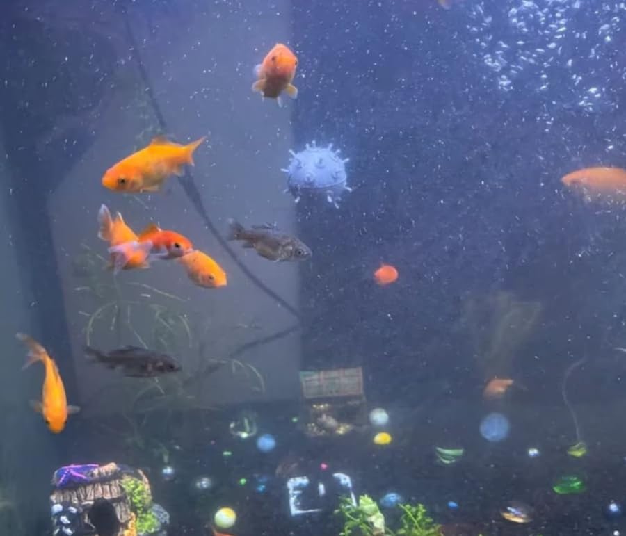 Miniatura 3 de Decoración flotante del tanque de peces de la mina del mar