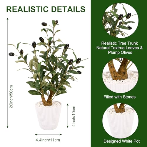 Reviews y listado de Bonsai olivo favoritos de las personas. 2 Imagen adicional