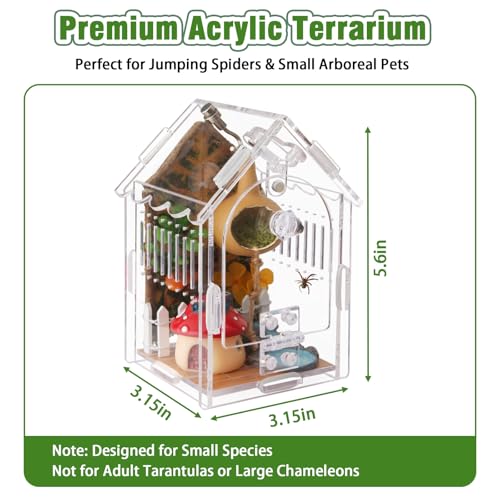 Image of Acrylic Jumping Spider Enclosure with Magnetic Lock & Feeding Port