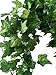 Botius 40 Ft Realistic Artificial Ivy Garland - UV Resistant Fake Hanging Vines for Indoor/Outdoor Wedding, Wall, Party, Garden Decor - Pack of 5