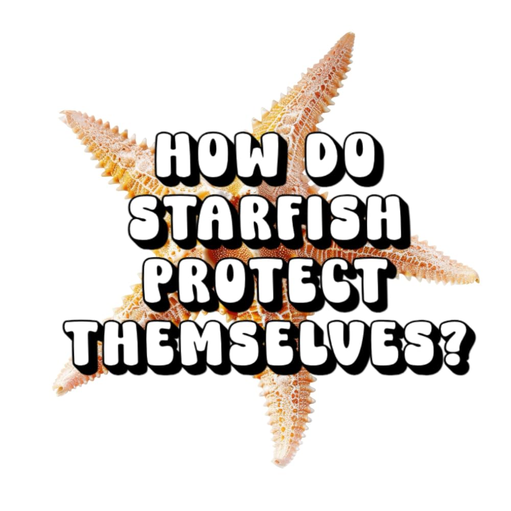 How Do Starfish Protect Themselves?