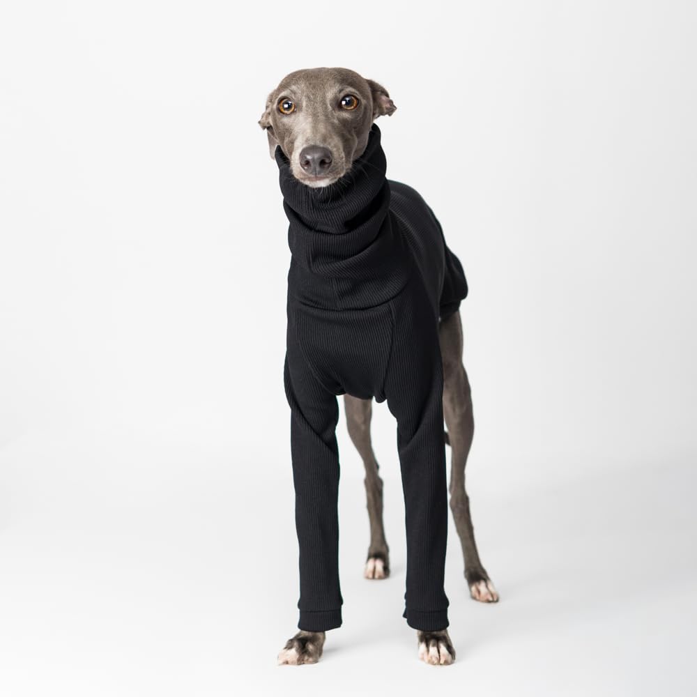 Thermo-Hundepullover für italienische Windhunde, Rollkragen, schmale Passform, weicher Stretch-Pullover für kleine Hunde (M)