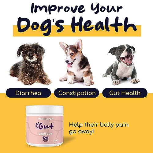 Dog Probiotics and Digestive Enzymes, 120 Delicious Chew Treats for Gut Health, Diarrhea, and Constipation – Hydrolyzes Nutrients for Better Absorption Dog Probiotics and Digestive Enzymes, 120 Delicious Chew Treats for Gut Health, Diarrhea, and Constipation – Hydrolyzes Nutrients for Better Absorption