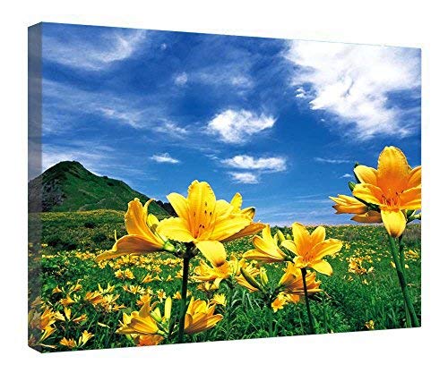 Tableau fleurs de montagne sur toile pour créer un salon style chalet cosy