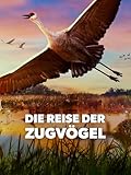  Reise der Zugvögel, Die