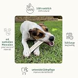 ChronoBalance® L - Hirschgeweih für Hunde – 1er Set Halbierte Kauspielzeuge, 100% Natürliches Kauknochen Hundespielzeug zur Zahnpflege, Nachhaltige Hunde Kauartikel ohne Chemie