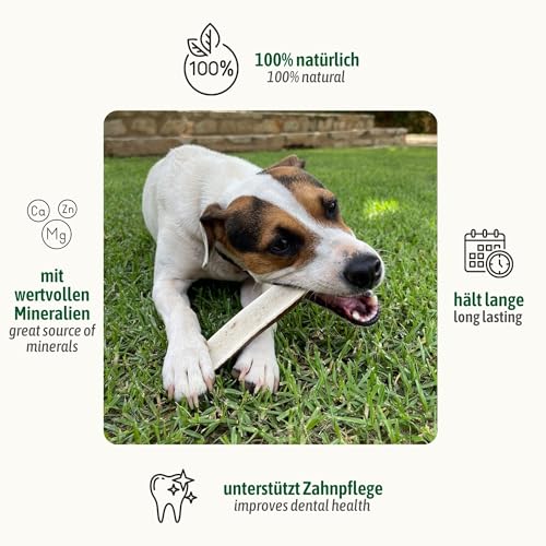 ChronoBalance® L - Hirschgeweih für Hunde – 1er Set Halbierte Kauspielzeuge, 100% Natürliches Kauknochen Hundespielzeug zur Zahnpflege, Nachhaltige Hunde Kauartikel ohne Chemie