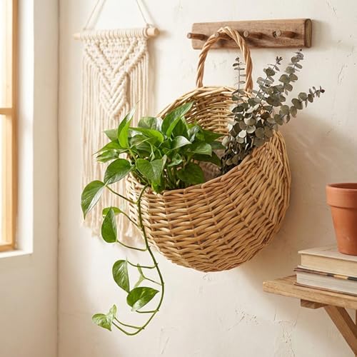Cesta pequeña de pared de ratán para plantas colgantes y macetas rústicas 5
